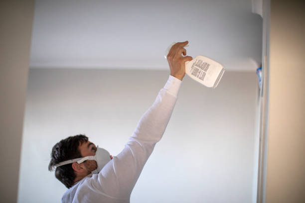 Best Professional Mold Removal  in Boswell, PA